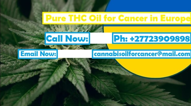 Cannabis Oil for Cancer Treatment in Ukraine